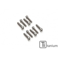 CNC Racing Titanium Screw kit for MV Agusta clutch covers CA300 and CA301 (9)